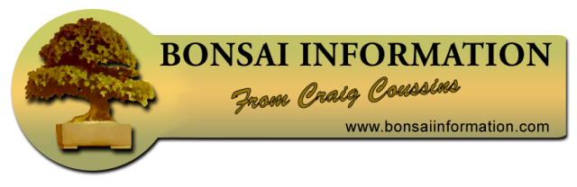 Cousins - Craig - Bonsai Blogs and Advice