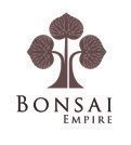 Bonsai Empire Bonsai Blogs and Advice