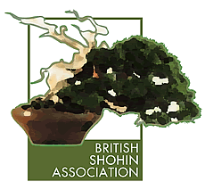 British Shohin Asociation Bonsai Club or Group image