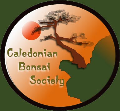 Caledonian Bonsai Society - Bonsai Club or Group