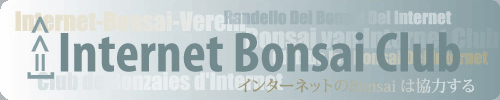 Internet Bonsai Club - Bonsai Blogs and Advice
