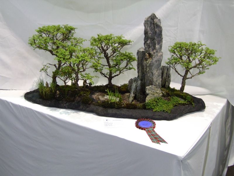 Landscape - Miniature - Bonsai Tree Style