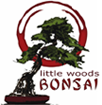 bonsai_little-woods-bonsai-01.png image