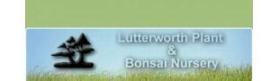 Lutterworth Plant & Bonsai Nursery - Bonsai Blogs and Advice