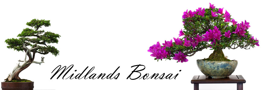 Midlands Bonsai - Bonsai Club or Group