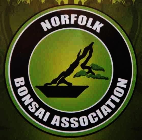 Norfolk Bonsai Association - Bonsai Club or Group