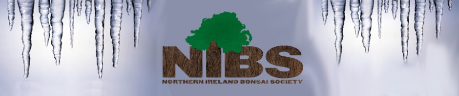 Northern Ireland Bonsai Society - Bonsai Club or Group