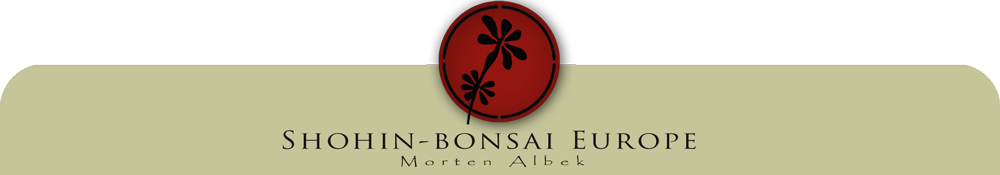 Shohin Europe - Bonsai Blogs and Advice