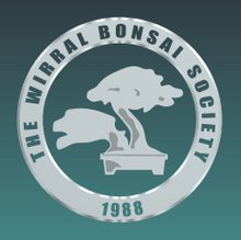 Wirral Bonsai Society - Bonsai Club or Group